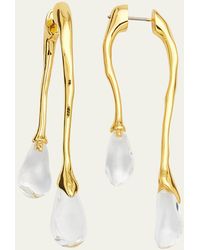 Alexis - Lucite Front-back Double Drop Earrings - Lyst