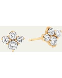 Sara Weinstock - 18k Yellow Gold Diamond Cluster Stud Earrings - Lyst