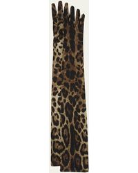 Dolce & Gabbana - X Kim Long Leopard Print Satin Gloves - Lyst