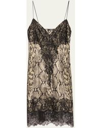 Balmain - Python Print And Lace Silk Mini Dress - Lyst