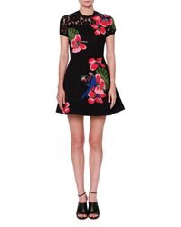 Valentino Tropical Dream Short-sleeve Knit Dress - Black