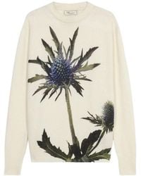 Blumarine - "Thistle" Print Knit Round Neck Sweater - Lyst