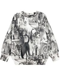 Molo - Sweatshirt With Dogs "Mattis" - Lyst