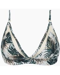 PATBO Mesh Bralette Bikini Top - Ivory & Green Palm Print