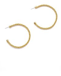 Brenda Grands Jewelry Aspen Hoop Earrings - Metallic