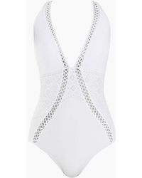 jets swimwear clearance