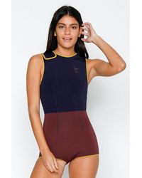 seea swimsuits