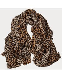 Black - Brown Leopard Print Pashmina Cashmere Shawl - Lyst