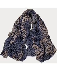 Black - French Blue Leopard Print Pashmina Cashmere Shawl - Lyst