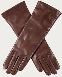 Black Accessories - Ladies Chocolate Cashmere Lined Leather Gloves - Lyst