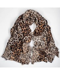 Black - Brown Leopard Print Pashmina Cashmere Shawl - Lyst