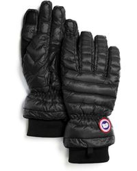 Canada Goose Lightweight Gloves - Black