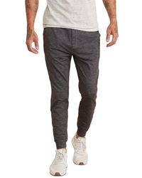 marine layer sport jogger