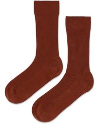 Jenni Kayne - Classic Crew Sock - Lyst