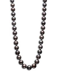 Bloomingdale's Black Cultured Tahitian Pearl Strand Necklace In 14k White Gold