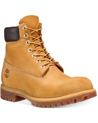 timberland desert