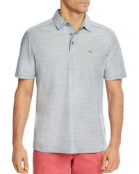 tommy bahama paradiso polo shirt