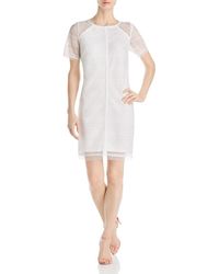 Adrianna Papell Lace Shift Dress - White