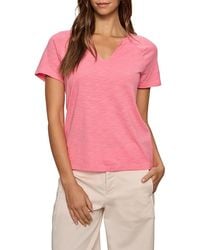 Sanctuary - Notch Neck Tee - Lyst