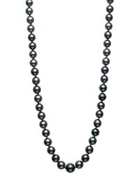 Bloomingdale's Tahitian Black Cultured Pearl Strand Necklace In 14k Yellow Gold