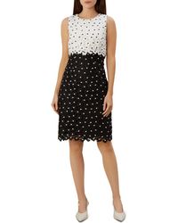 hobbs mabelle dress