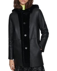 Maje Gatina Reversible Hooded Shearling Coat - Black