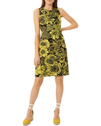 hobbs penny floral lace dress