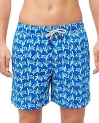 Tom & Teddy - 6 Turtle Swim Shorts - Lyst