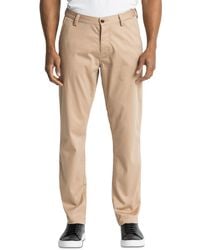 gilt wings horns