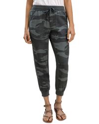 splendid lakeside jogger