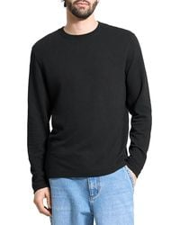 Theory - Delroy - Lyst