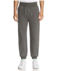 theory sweatpants