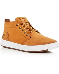 low timbs