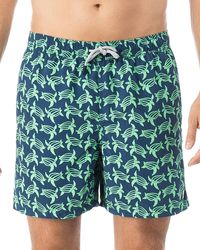 Tom & Teddy - Turtle Print Swim Trunks - Lyst