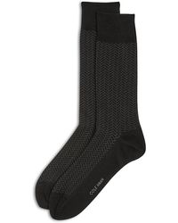 Cole Haan - Performance Lightweight Low Cut Socks - Lyst