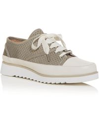 donald pliner womens sneakers