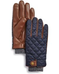 polo ralph lauren gloves