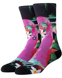 Stance Franny Socks - Lila