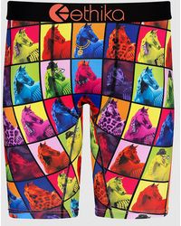 Ethika Block chain boxershorts estampado - Multicolor