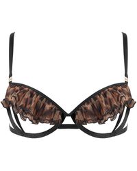 Bluebella - Matisse Semi Open Bra Leopard - Lyst