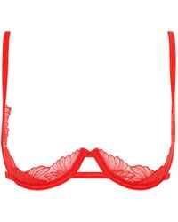 Bluebella - Carmen Bra Flame Scarlet - Lyst