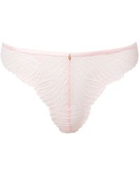 Bluebella - Peyton Lace Thong - Lyst