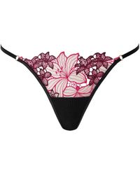 Bluebella - Bluebella String Floral Calantha Rouge Cerise/Rose - Lyst