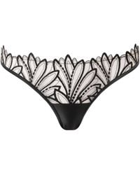 Bluebella - Pavlina Floral Embroidered Brief - Lyst