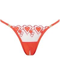 Bluebella - Harlow Open Back Heart Brief Coral - Lyst