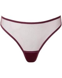 Bluebella - Naomi Mesh High-Waist Thong Cherry - Lyst