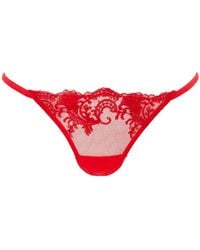 Bluebella - Marseille Embroidered Sheer Thong - Lyst