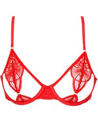 Bluebella - Anaya Bra Flame Scarlet - Lyst