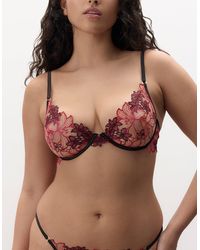 Bluebella - Calantha Floral Bra Cherry Lacquer/Virtual - Lyst