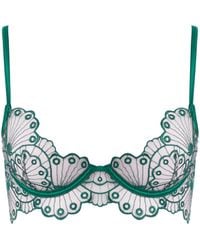 Bluebella - Jane Sheer Embroidered Longline Bra Aventurine - Lyst